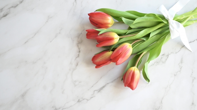 民放は全滅…でも大丈夫！逆転合格のチャンス、まだ間に合います。